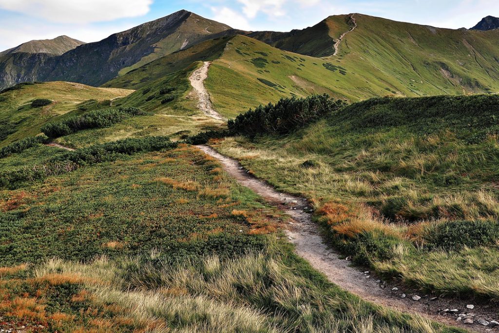 Oświadczyny w górach